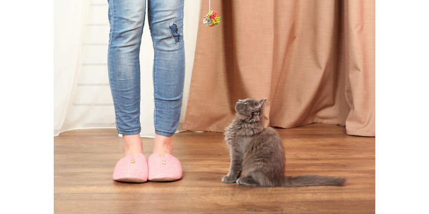 Ламінат чи паркет: що краще придбати для облаштування підлоги?