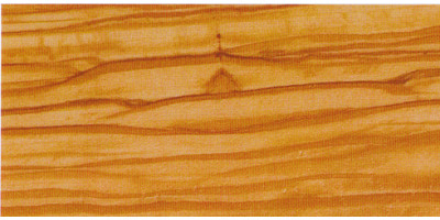 Оливкове дерево