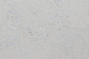 Коркова підлога Amorim CA Harmony White CAHW-Z10