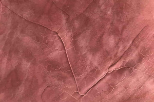 Декоративна штукатурка Ferrara Paint Pietra Lucida