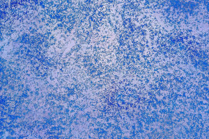 Декоративна штукатурка Ferrara Paint Pietra Media