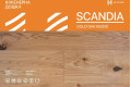 Інженерна дошка HYGGE WOOD SCANDIA Gold Oak 06200