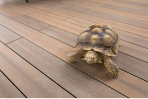 Терасна дошка Megawood Signum 21x145 мм