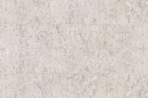 Wicanders настінний корок Fiord Exclusive RY19002