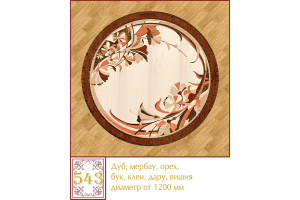 Паркетна розетка 543