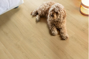 Ламінат Quick-Step Capture Дуб шліфований натуральний, 32 клас, фаска 4v, водостійкий, 9*212*1380 мм